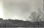 Scatto realizzato con Agfa Box 44 (1932) e rullo Kodak B/n iso 100

Nessuna postproduzione la foto  cos come la vecchia macchinetta-scatola l'ha fatta.

Nella foto: un ponte abbandonato dove passava un'antica ferrovia anch'essa abbandonata da pi di 60 anni.