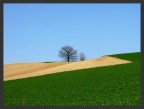 appennino