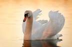 ai primi raggi di sole