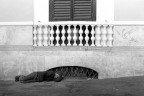 il balcone