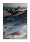 Cayo Largo