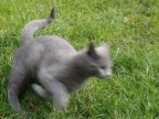 Catch me if you can
