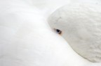 Lo sguardo