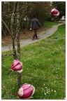 primavera