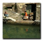 Nella 'Venezia' di Livorno Nella 'Venezia' di Livorno