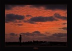 capo verde,isola del sale...ogni sera dopo il tramonto in prossimita' della riva dell'oceano arrivano a mangiare gli squali...una ragazza li sta aspettando per ammirarli(marzo 2009)...