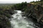 NORVEGIA