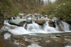 torrente2