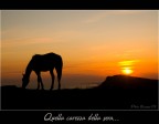 Quela carezza della sera