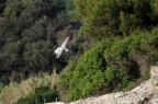 In volo