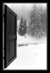 La Neve