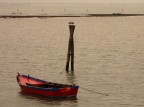 il delta del P