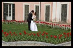 Ti Amo