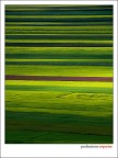 Castelluccio di Norcia