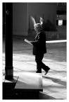 nel paese dei balocchi