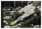 primavera nel foro
