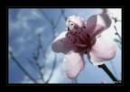 Fuji S6500