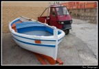 trasporti