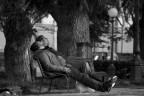 I belli addormentati