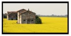 senza titolo