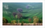 ...campi II...