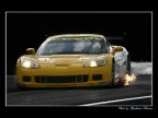 Corvette C6-Ritorno di fiamma