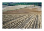 ...gi per il campo...