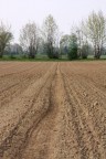 La mia terra
