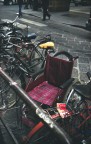 Firenze, 2009