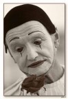 pulcinella