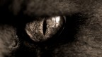 bw_eye