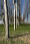 ritmi nella natura