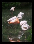 siesta pomeridiana