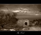 My Land