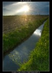 sunlights
