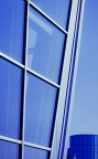 Fifa blu