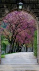 E' primavera