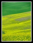 Verde/giallo