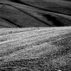 paesaggio
