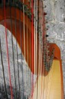 musica maestro....