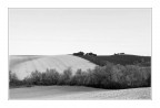 Colline Marchigiane