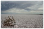 Salt Lake