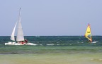 colori
