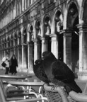 s.marco