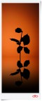 Rising rose shadow