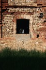 Muro con vista.