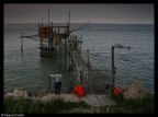 IL VECCHIO E IL MARE