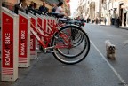 &quot;Voglio andare in bici anch'io!&quot;
