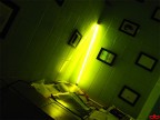 Green toilet