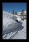 bianche forme